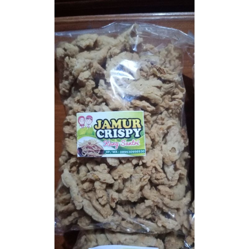 

jamur crispiy kemasan 1/2 kg