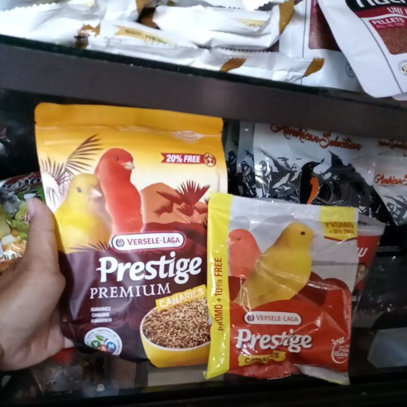 

prestige kenari