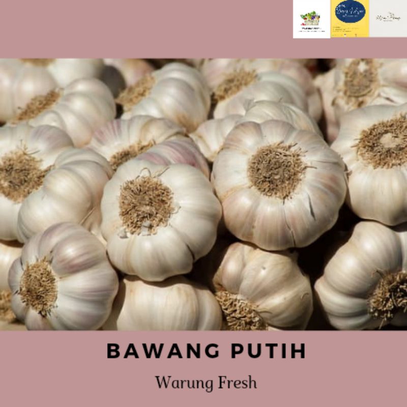 

BAWANG PUTIH 250 GRAM