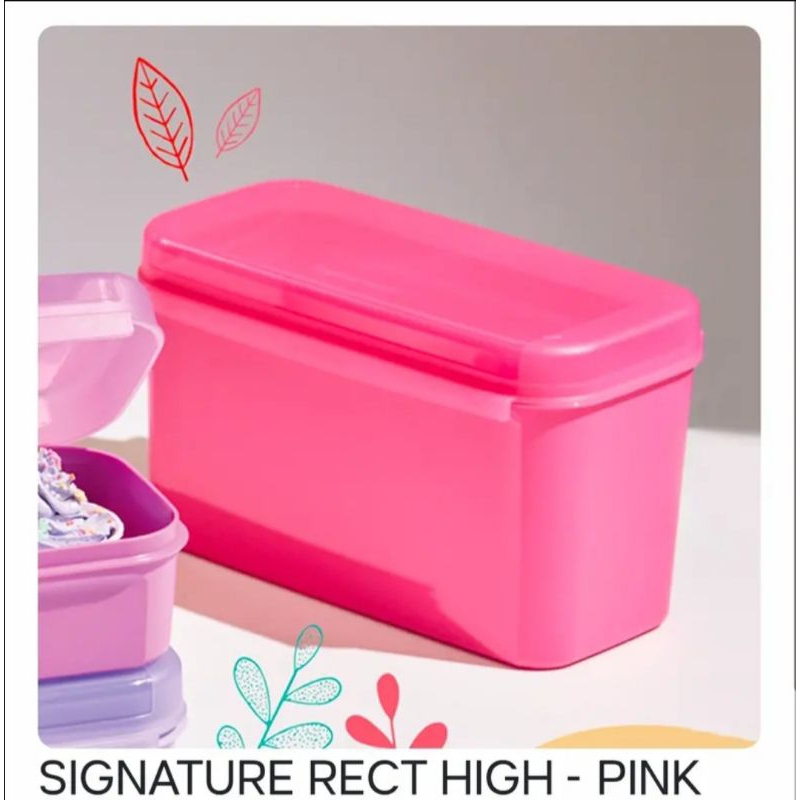 Signature Rect High Tupperware