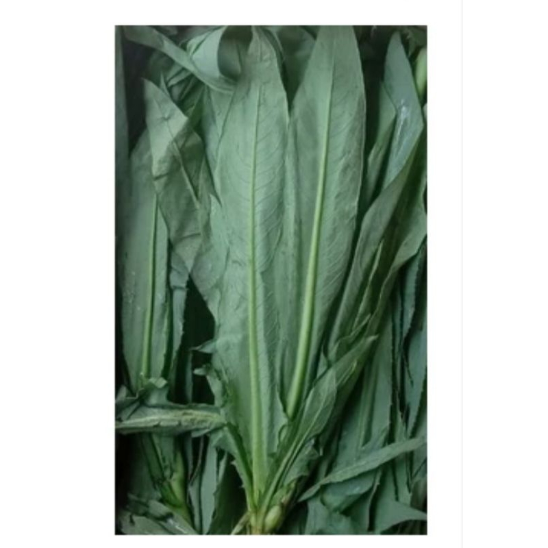 

kumek 500gr