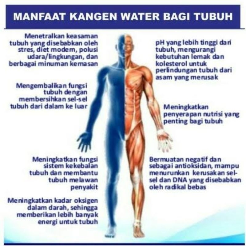 Air hidrogen kangen water
