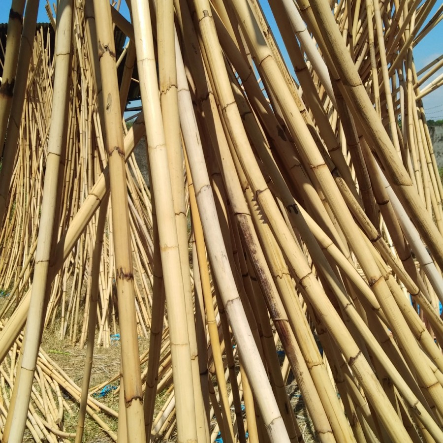 TOYA ROTAN - TOYA ROTAN KULIT DIAMETER 4 CM PANJANG 50 - TOYA MANAO - KAYU ROTAN KULIT