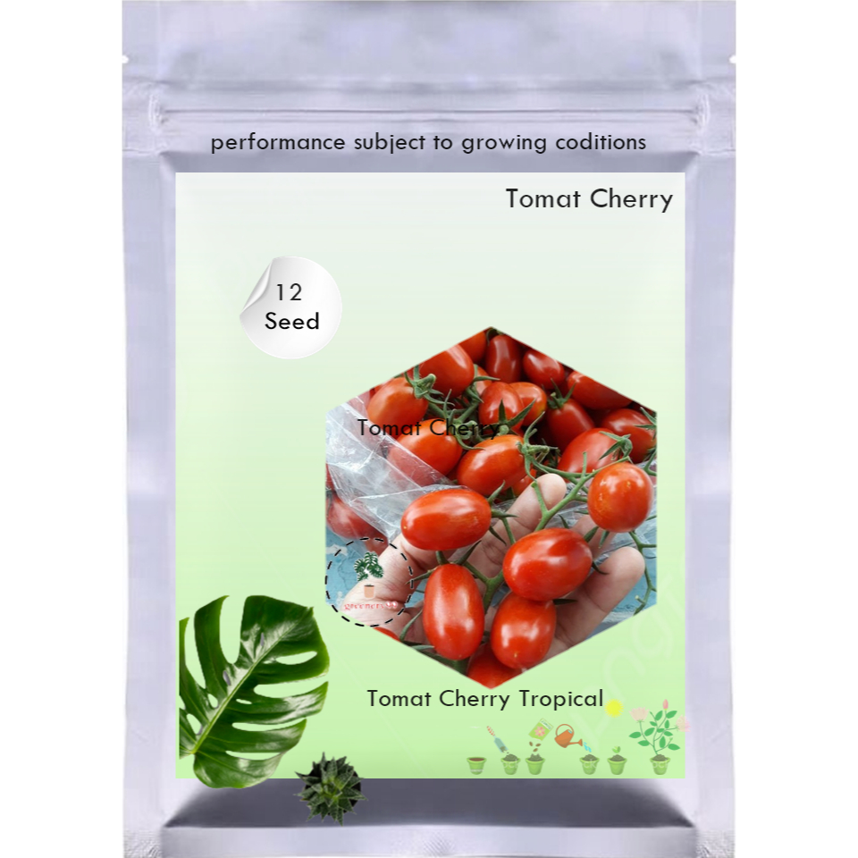 Benih Tomat Cherry Tropical Ruby Bibit Chery Buah Ceri Tanaman Hias Sayur Sayuran Seribuan