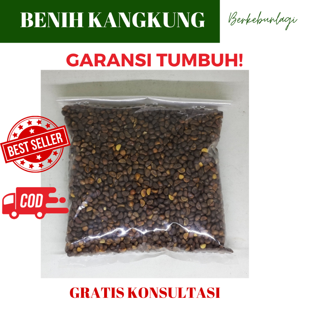 Benih Kangkung Biji Tanaman Kangkung Lokal Sayur Kangkung 500gram