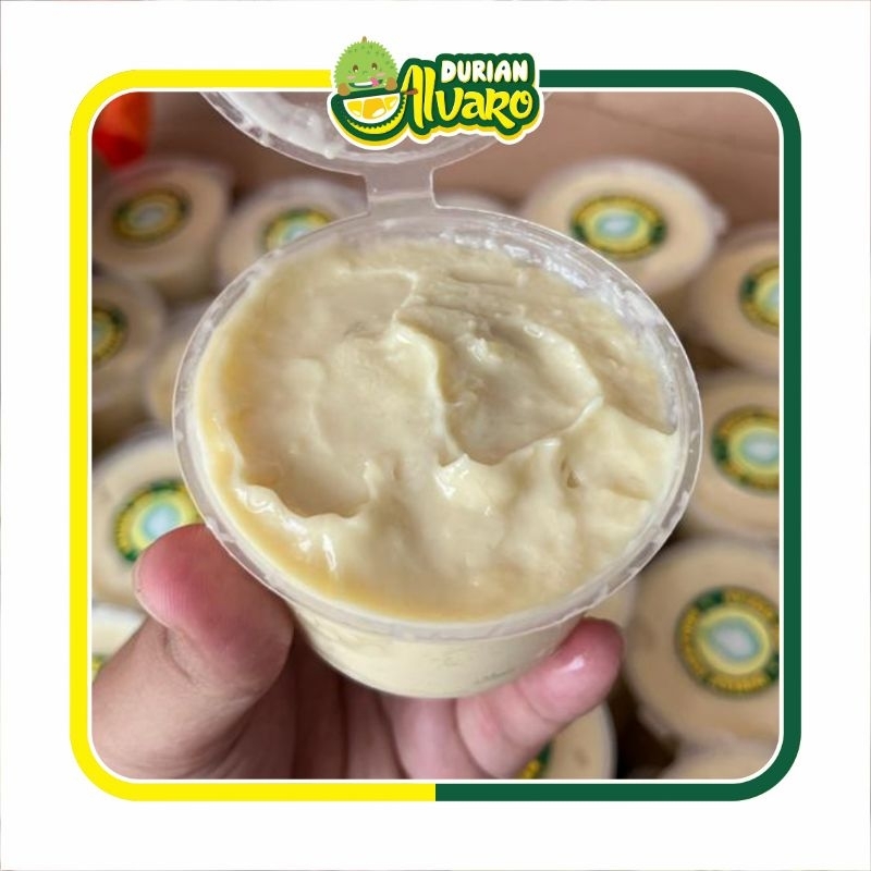 Durian Cup Montong Palu Original