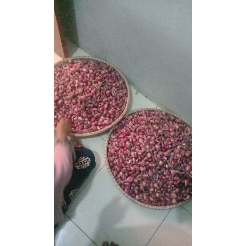 

Bawang merah brebes dan Bawang goreng