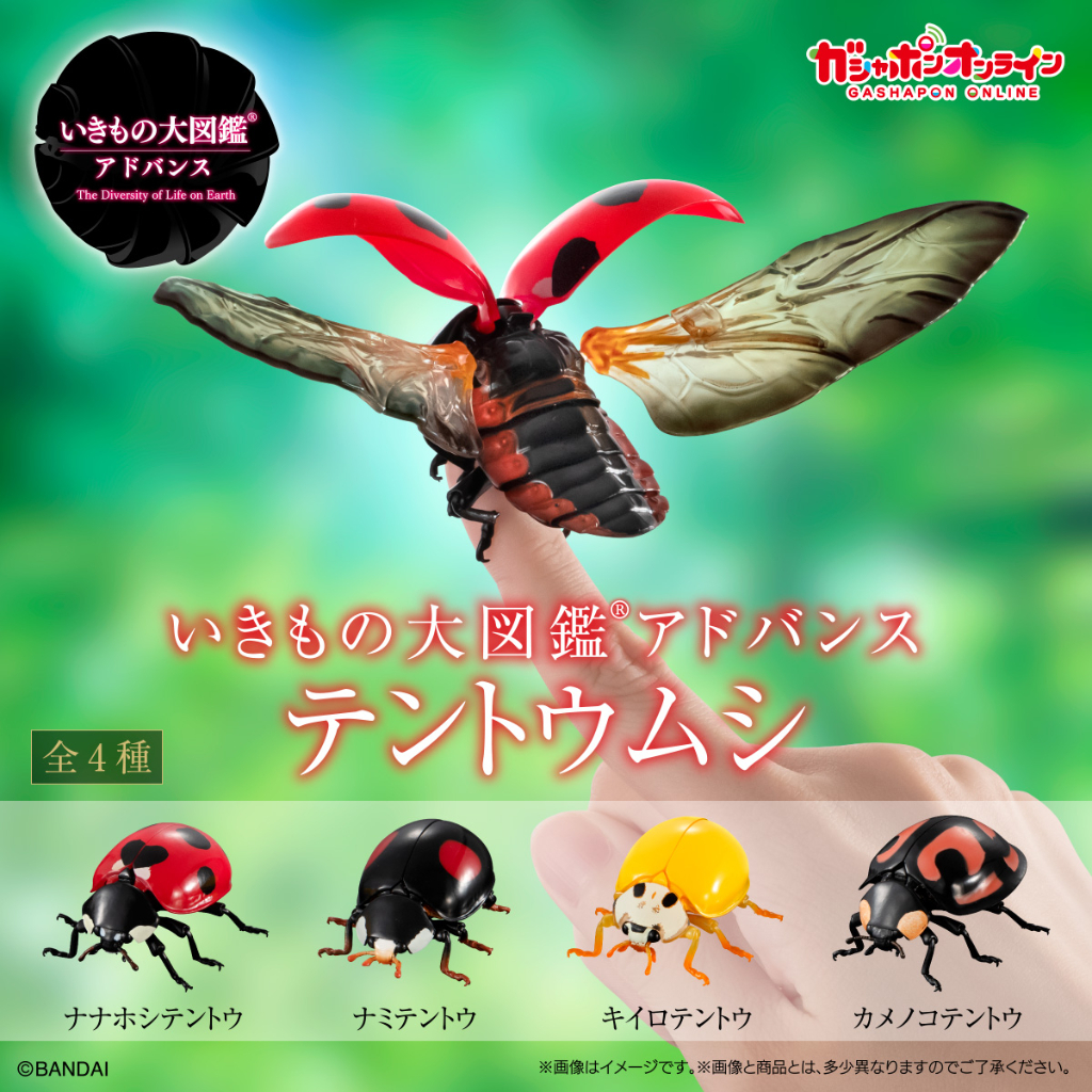Ladybug Kumbang Kepik Tentoumushi Ikimono Daizukan Encyclopedia of Living Creatures Advance Bandai G