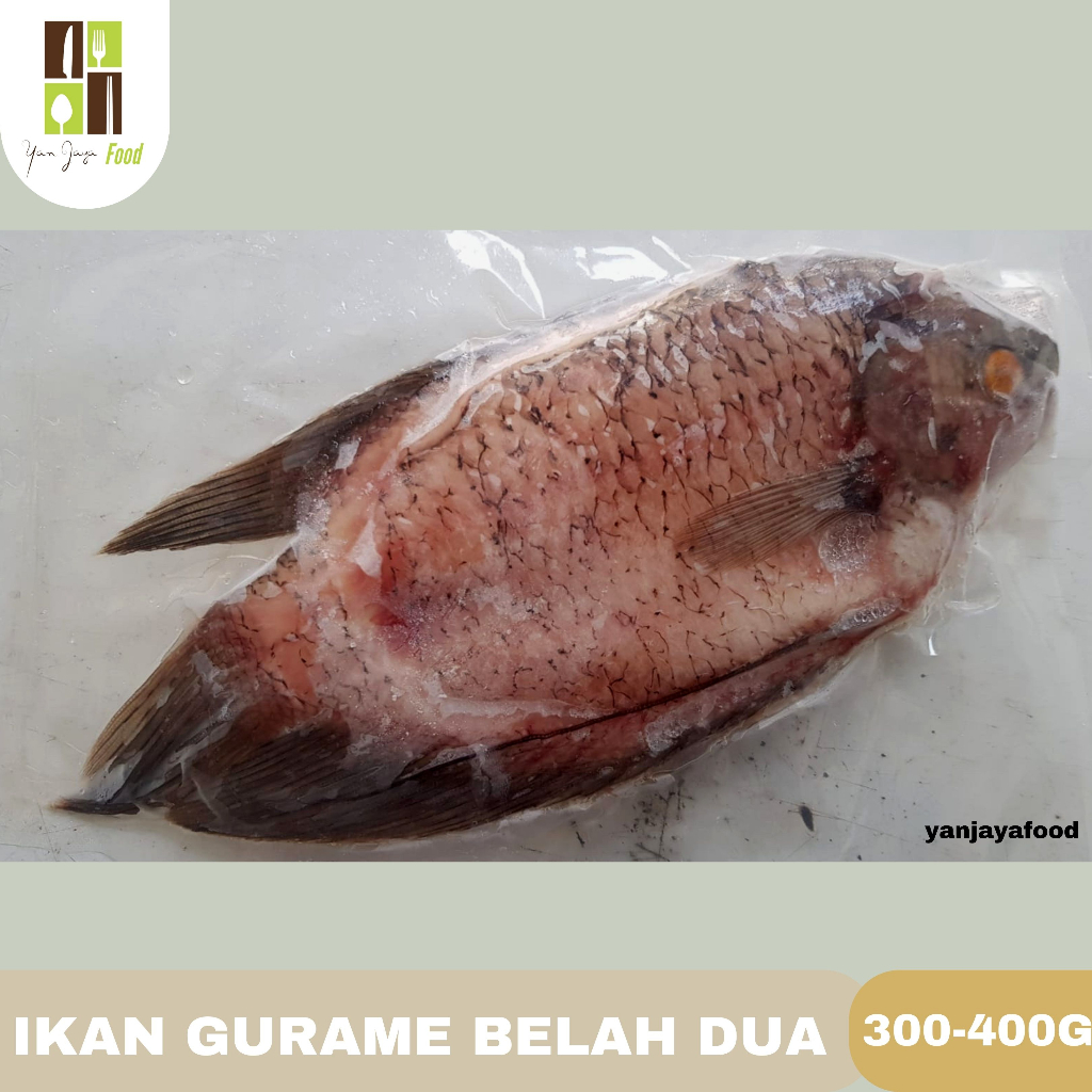 Ikan Gurame Segar / Sudah Bersih / Fresh / Siap Masak / Vakum 400-500g