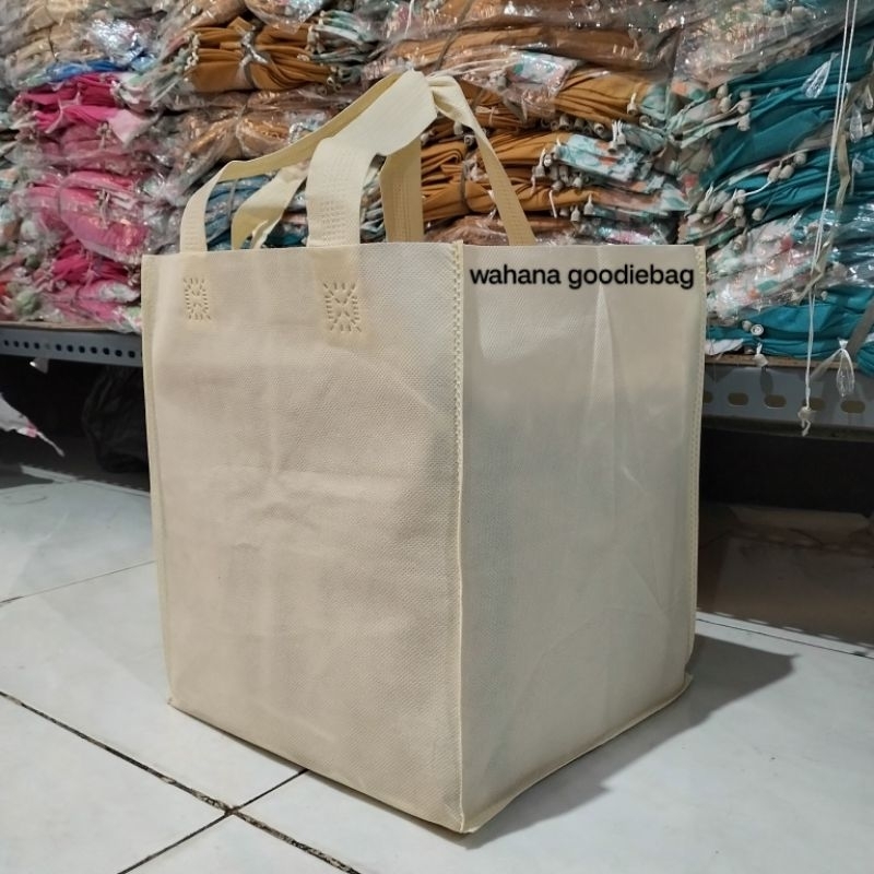 tas spunbond goodiebag box 22x22 kotak press 12pcs