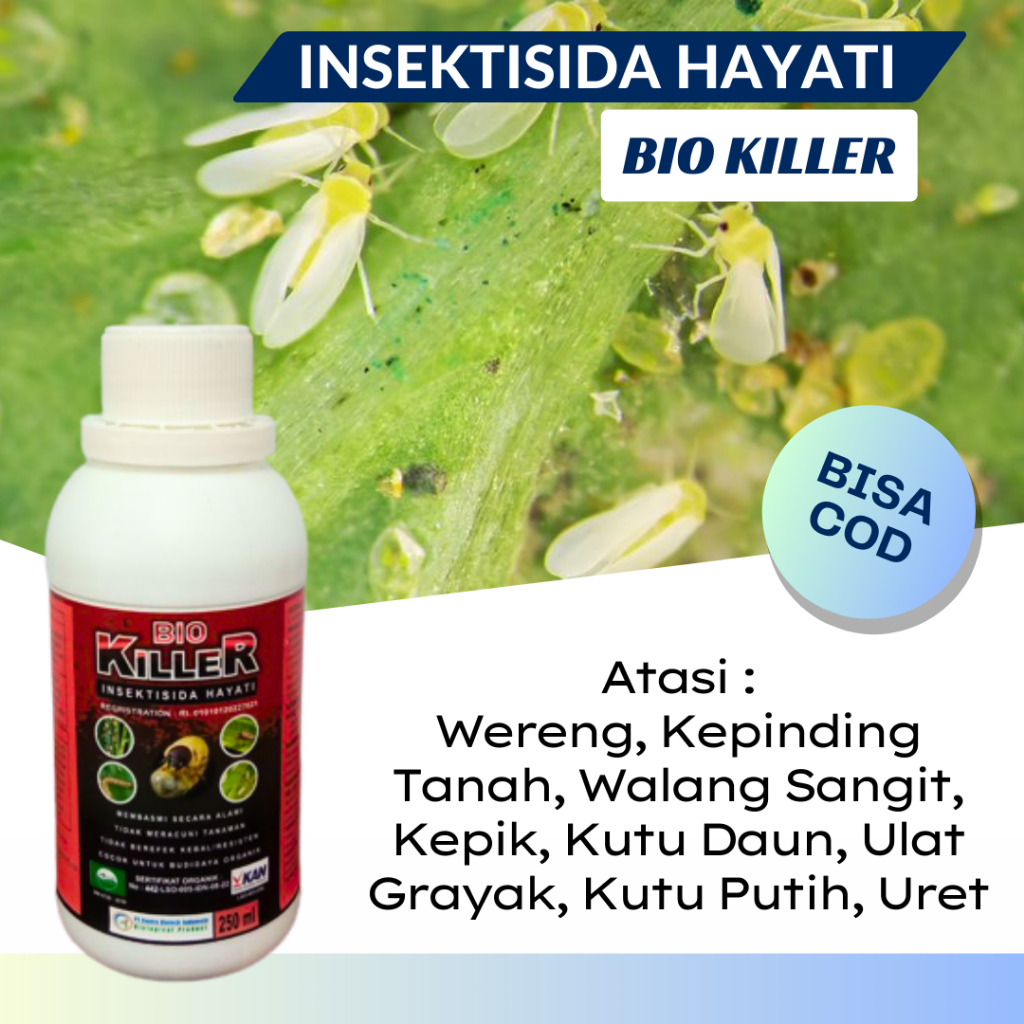 Pestisida Untuk Kutu Putih, Obat Hama Thrips Tanaman Padi