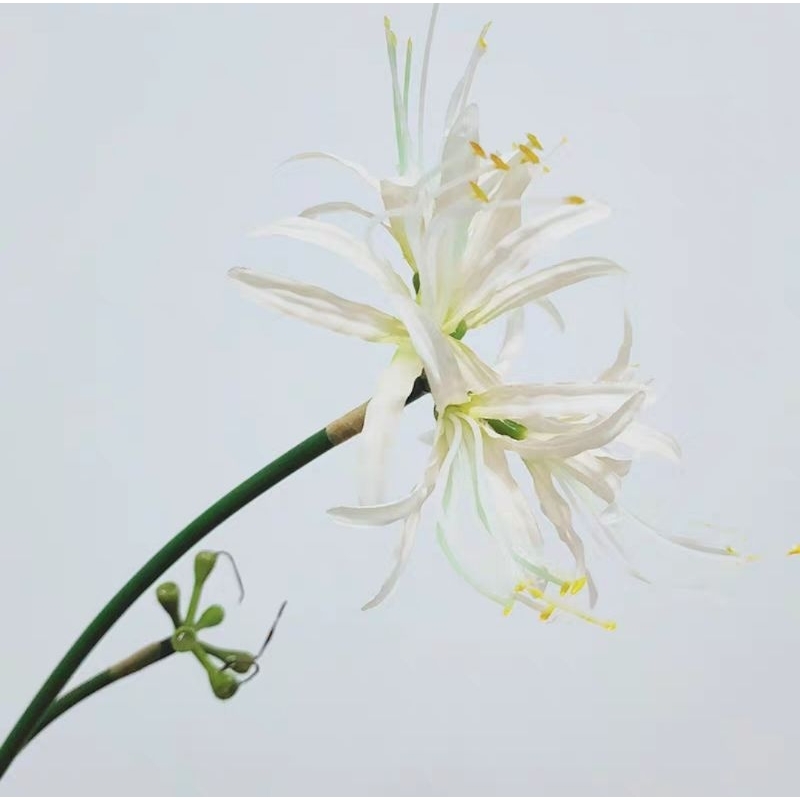 Bunga Higabana White Spider Lily Artifisial Lycoris Radiata Cosplay Properti Foto Hanfu