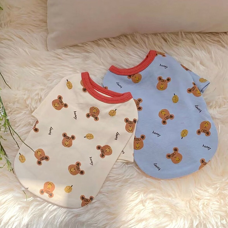 Kuho honey bear korea top