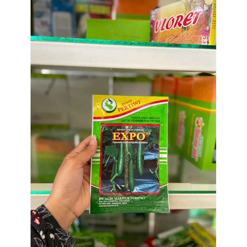 Benih Timun Jepang EXPO/Bibit Timun EXPO