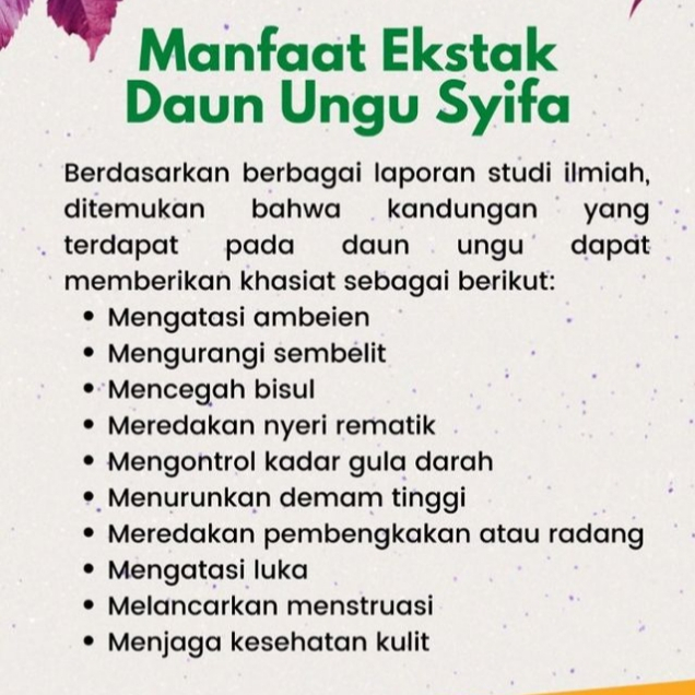 Kapsul Ekstrak Daun Ungu Obat Herbal Benjolan Wasir Ambeien Ambeyen Bisul di Pantat Anus Sembelit Lancar BAB Buang Air Besar Kecil Kencing Original