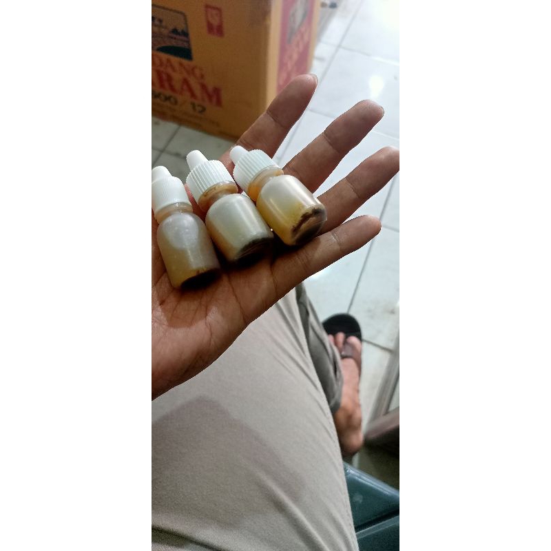 ESSEN LELE ESSEN BIANG MURNI ESSEN BIANG LELE