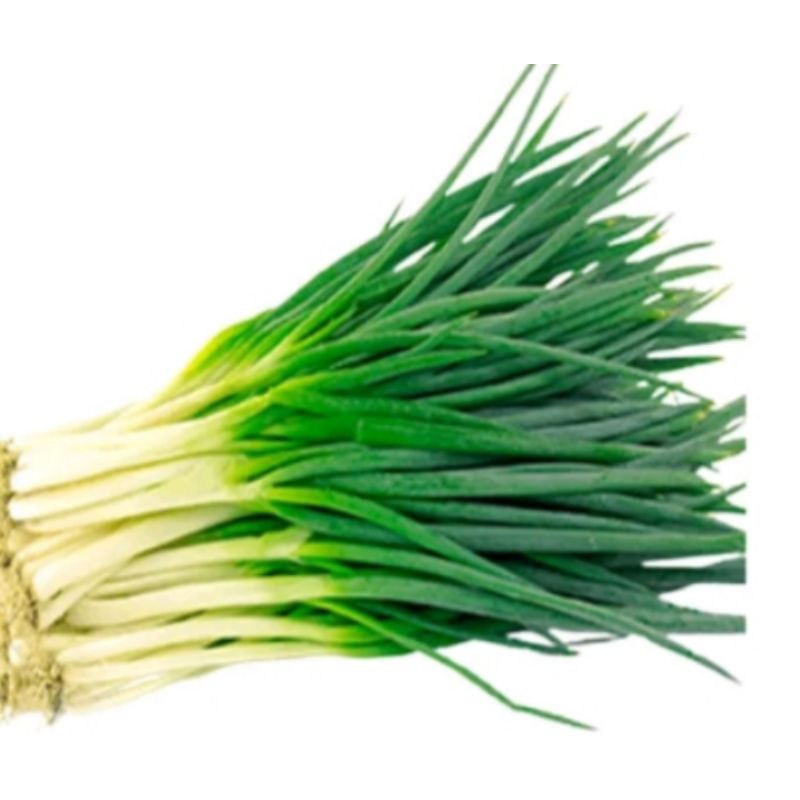 

Daun Bawang/Daun Seledri/Daun Bawang Seledri