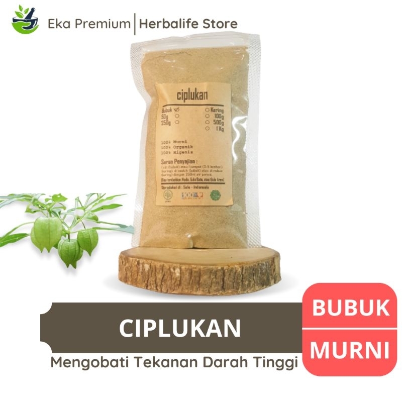 

CIPLUKAN BUBUK Tanaman Ceplukan Kering Asli Ramuan Rempah Herbal Jamu Tradisional Murni Daun Akar Batang Buah Diabetes Hipertensi Stroke Jantung