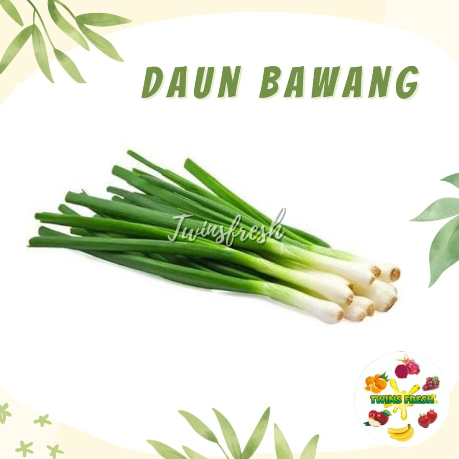 

Daun Bawang Segar - Twins Fresh