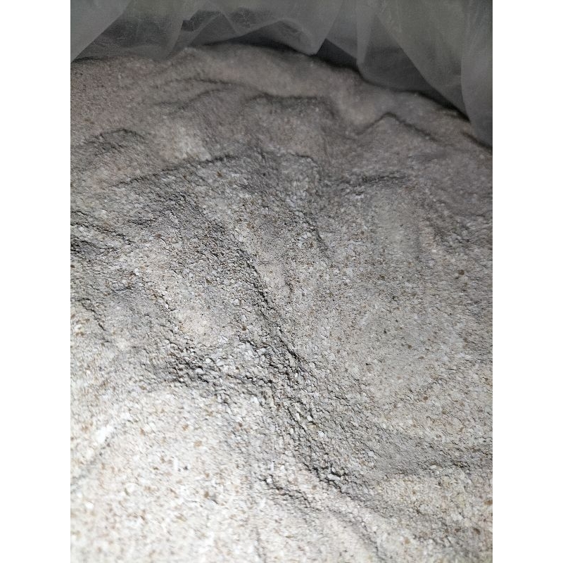 Tepung cangkang telur halus (1 kg)