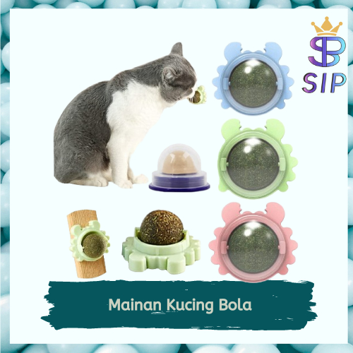 Mainan Kucing Bola Catnip Rotating Catnip Ball