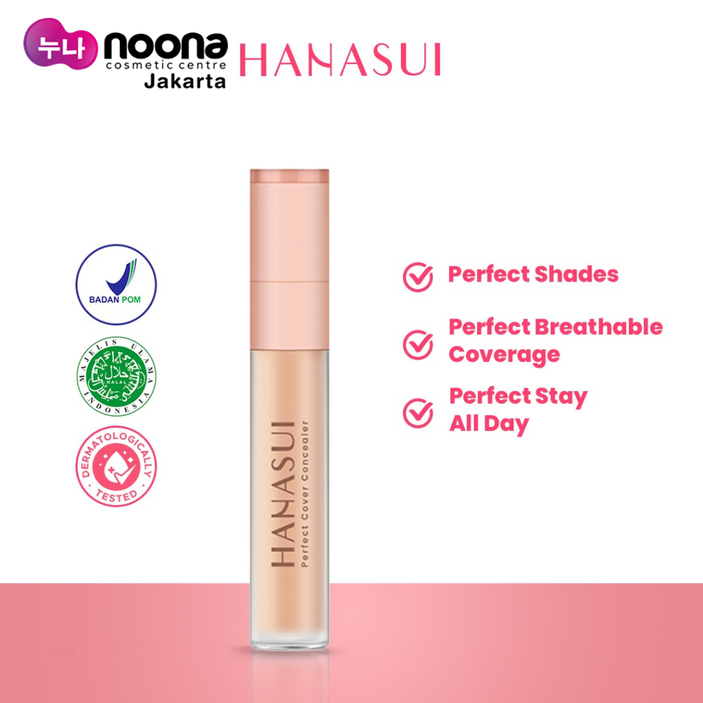 HANASUI PERFECT COVER CONCEALER