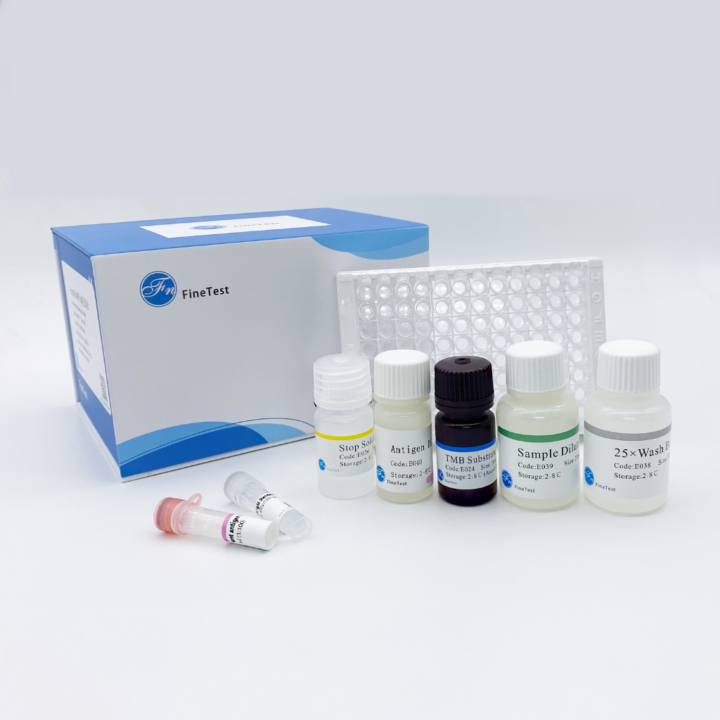 F-TESTO(Free Testoterone) ELISA Kit