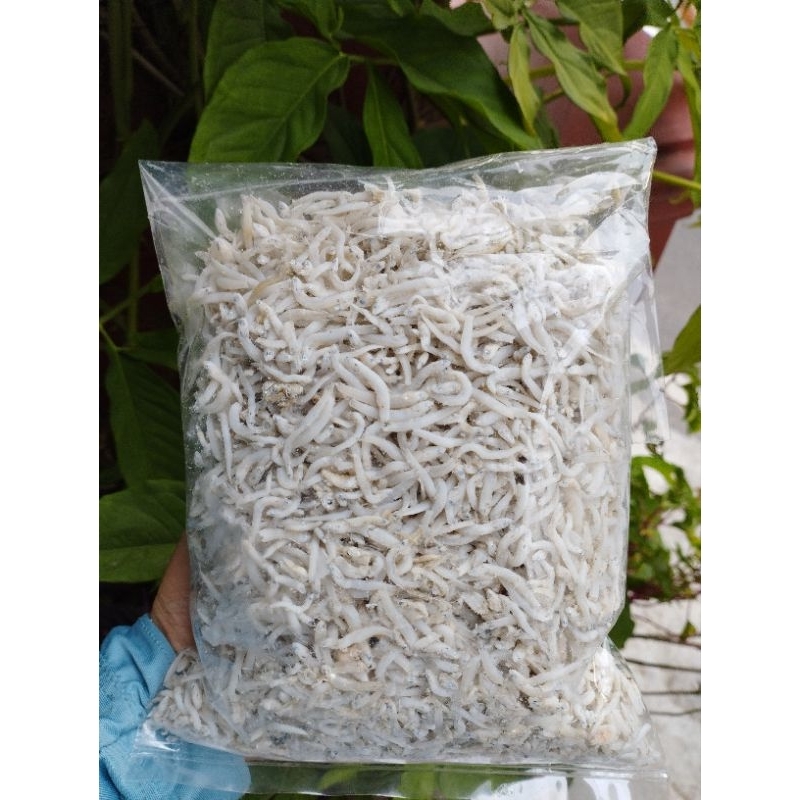 

Ikan Asin Teri Nasi Medan Super 500 gr