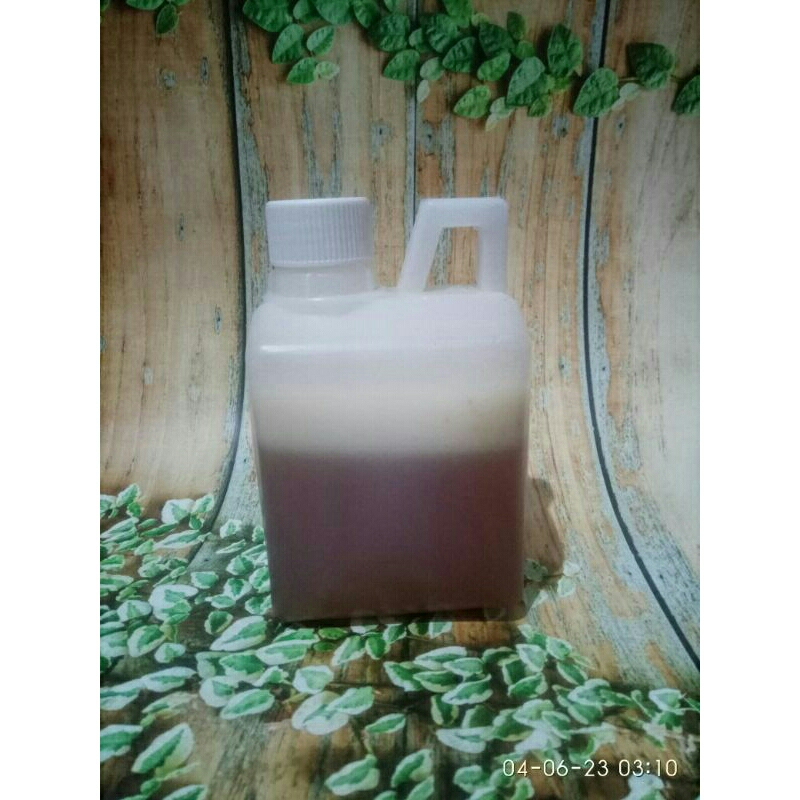 

madu Sialang 500 gram