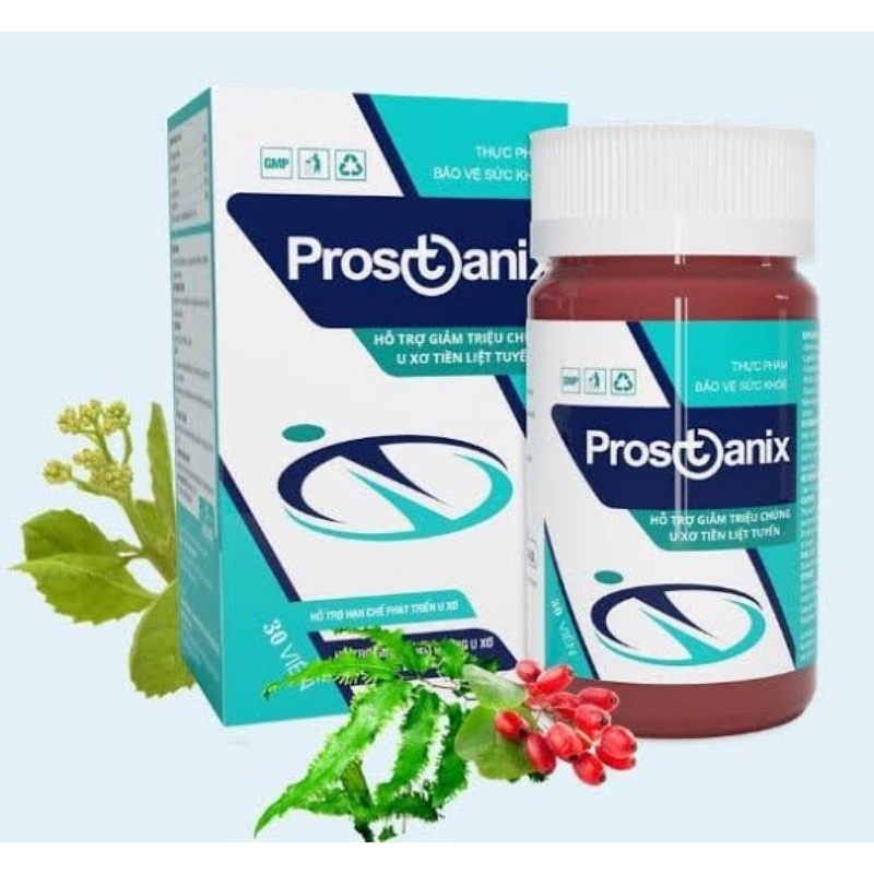 PROSTANIX Obat Prostat 100% Herbal