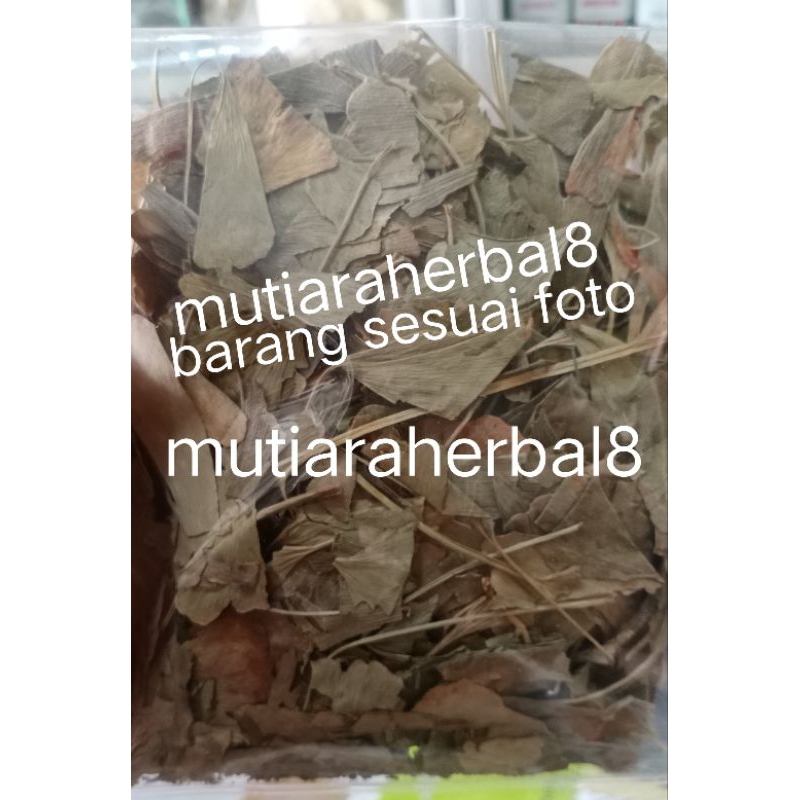 

Gingko Gingo Giloba Ginkgo biloba leaf Ginkgo Daun Pat ko Herbal 50gr