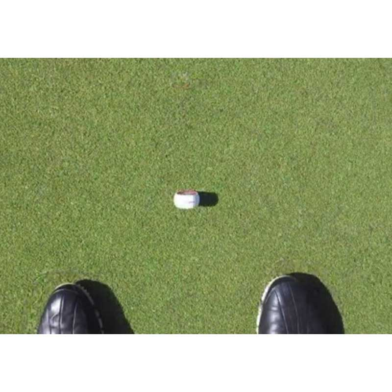 Bola Golf Dua Lapis Bola Golf Flat Datar Latihan Putting Flat Putter Akurasi Pukulan