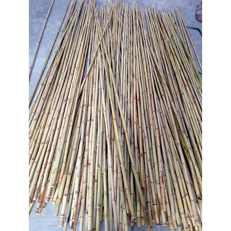 BAMBU CENDANI T 2 MTR D2 CM SUDAH DI OPEN BERSIH UNTUK KERAJINAN