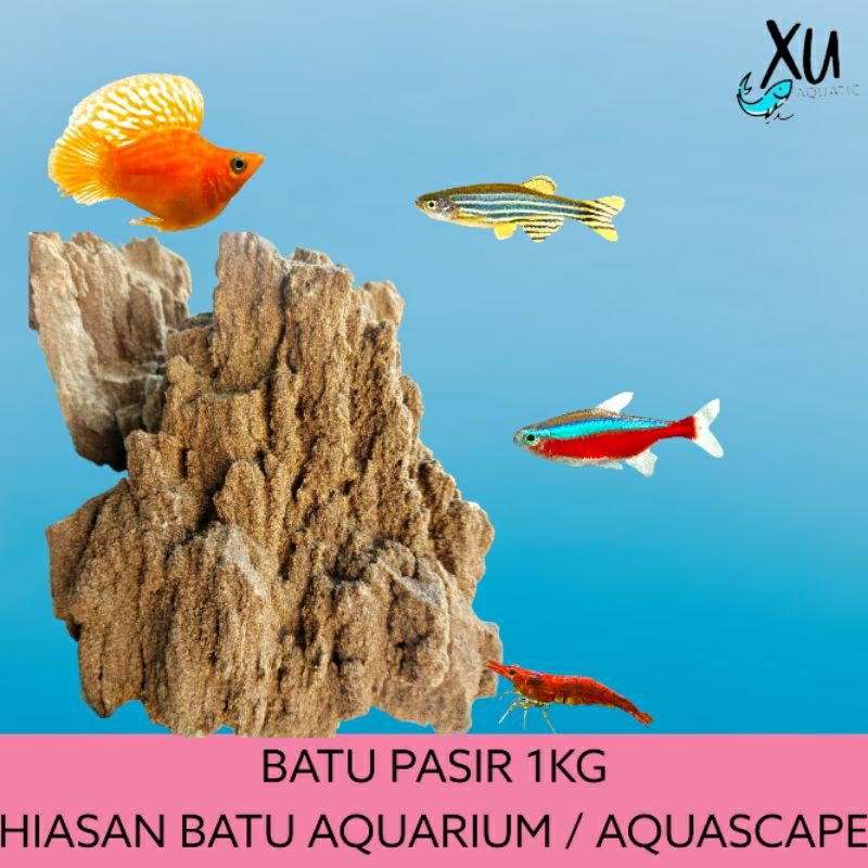 BATU PASIR SANDSTONE BATU HIAS AQUARIUM AQUASCAPE SAND STONE