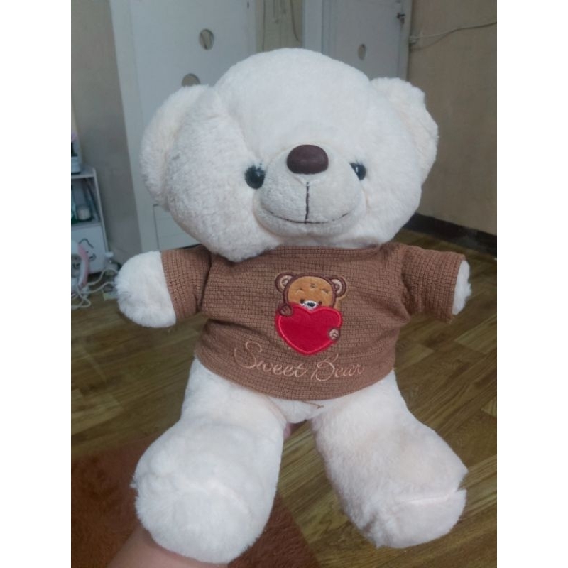 Boneka Teddy Bear kostum