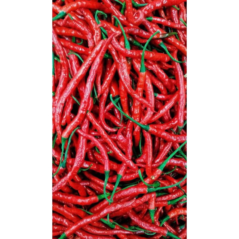 

Cabai merah 500gr