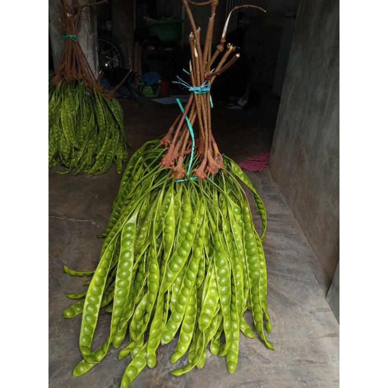 

peket hemat pete super isi 50 papan