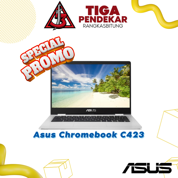 Asus Chromebook C423