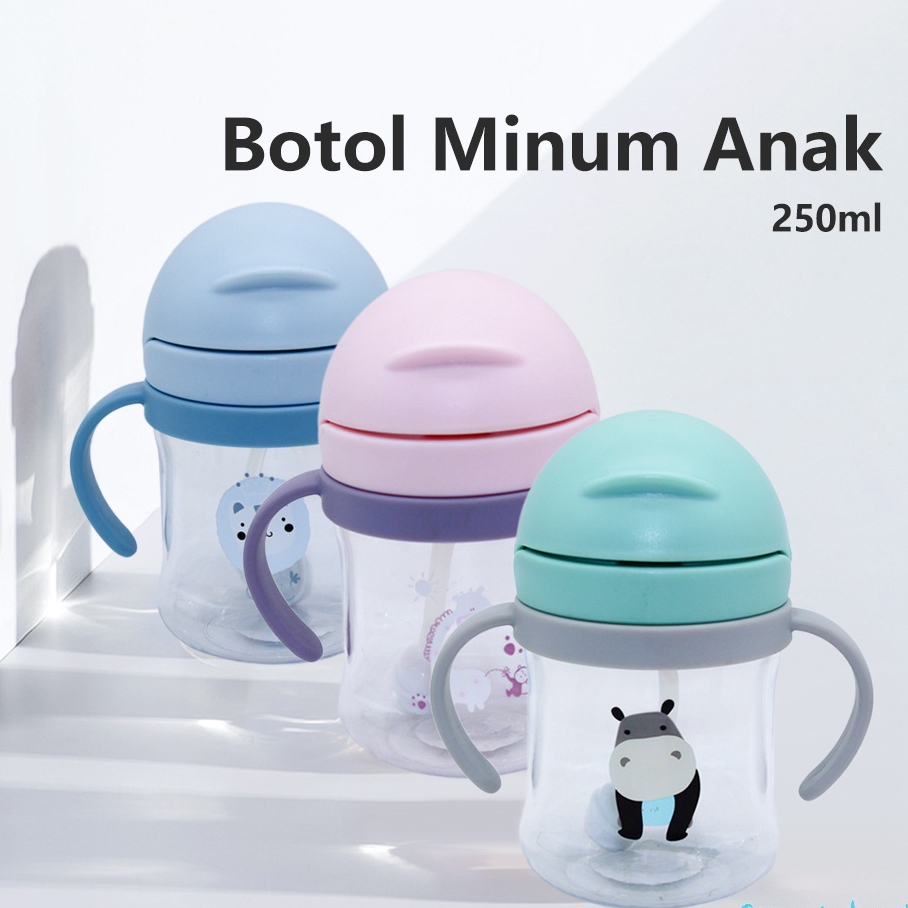 Botol minum anak sedotan BPA Free Botol jerami anak minum karakter sippy cup import