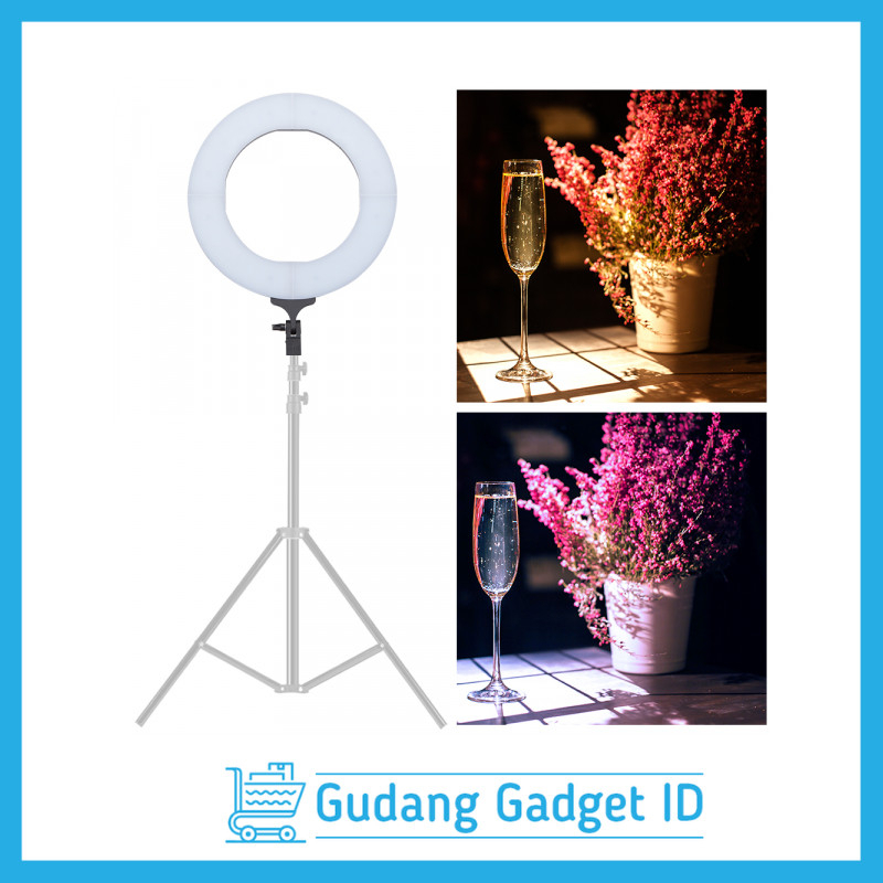 Lampu Ring Light LED Halo Kamera DSLR Smartphone 12 Inch - LF-R480C - White - K9MXWAWU