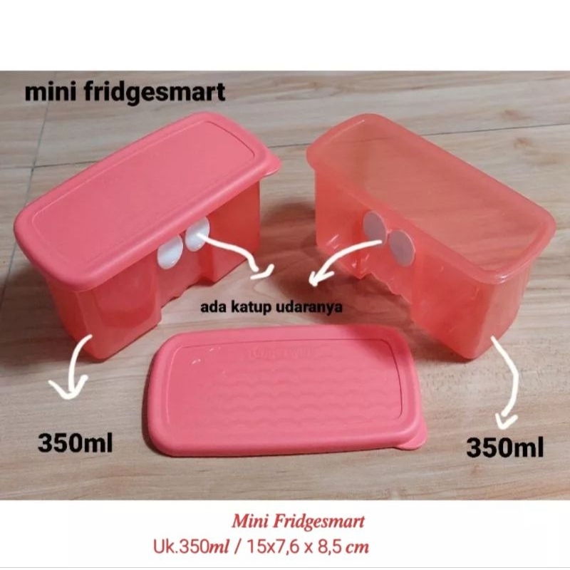 Mini Fridgesmart (2)