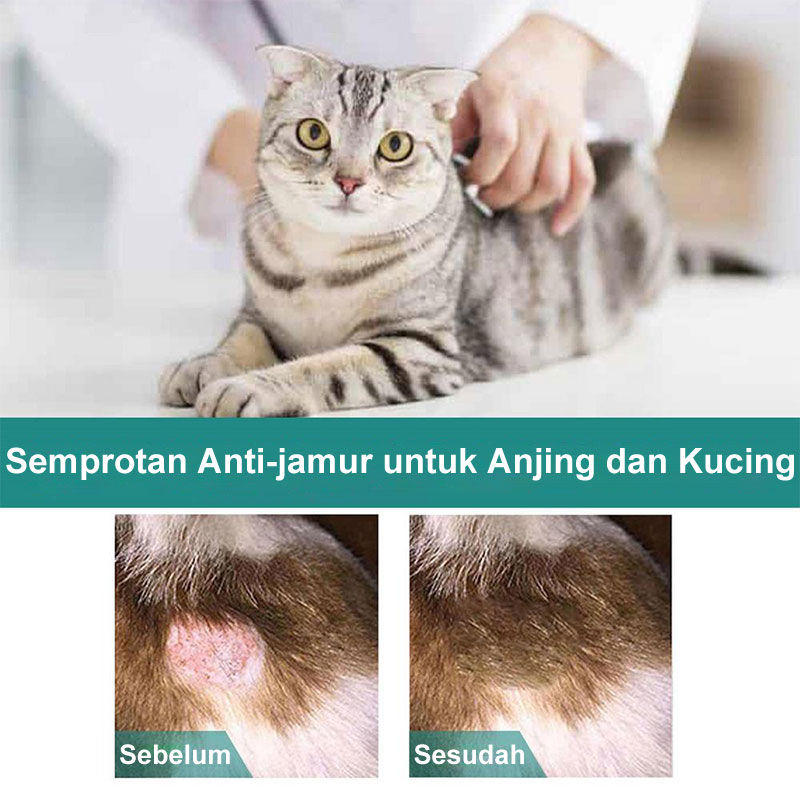 Obat Jamur Kucing Anjing Kelinci Anti Scabies Demodex Impetigo Jamur Kutu Parasit Cacing Hati Gatal Kulit 30ml