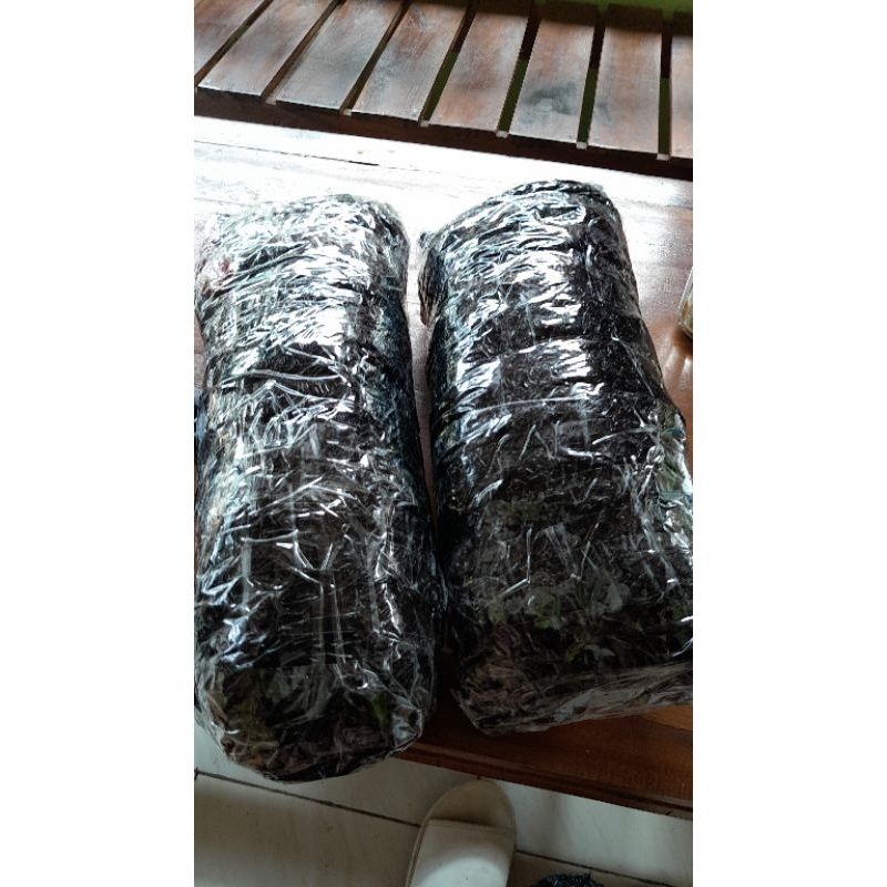 

opak singkong