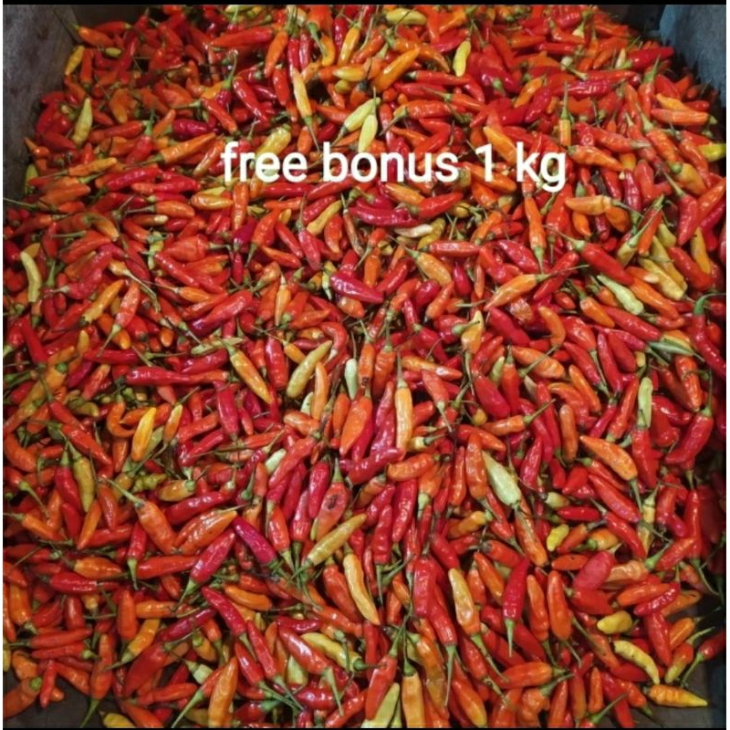 

cabe rawit merah 500gr + gratis bonus