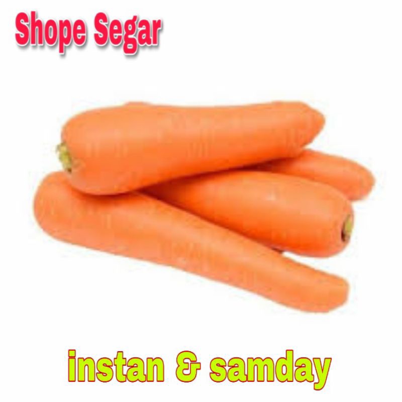 

Wortel Brastagi Wortel Medan Segar kirim instan dan sameday
