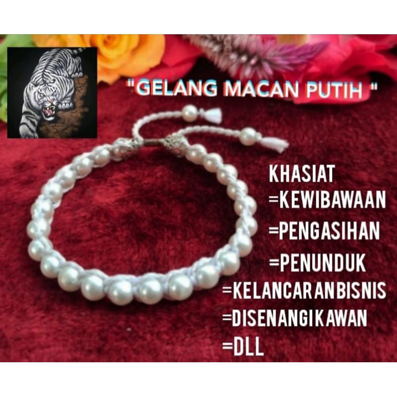 GELANG MACAN PUTIH