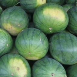

Semangka per Buah (+- 2.5 - 4 kg)
