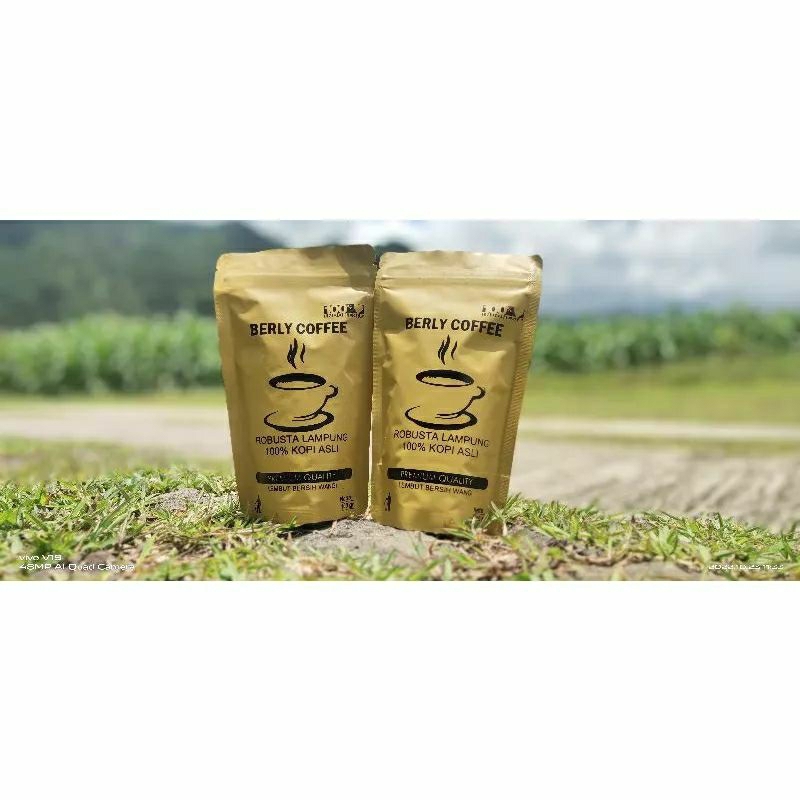 

KOPI ROBUSTA LAMPUNG 100 gram