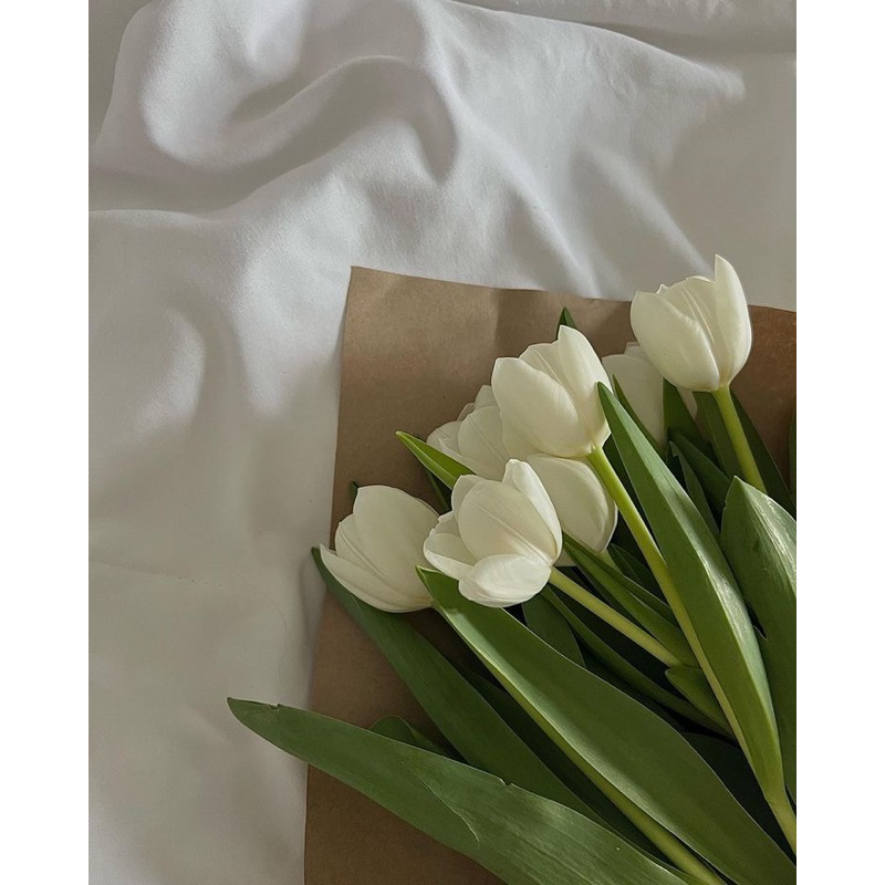 [booked] Haechan glow in the dark (gitd) md nct 127 + mark cawall set