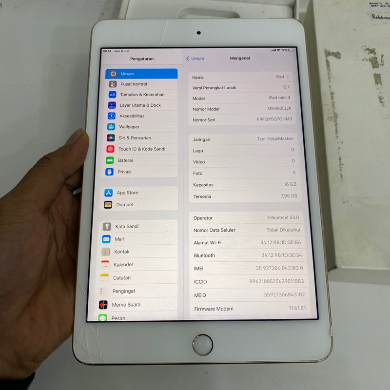 iPad mini 4 Resmi iBox